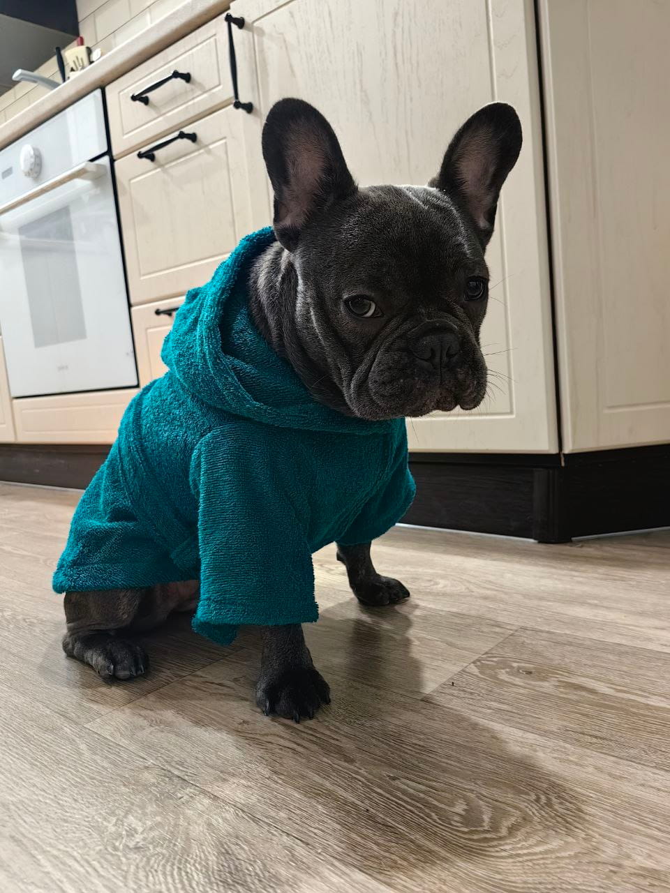 снимок Халат для собак махровый изумруд от магазина BIO-TEXTILES ОПТ