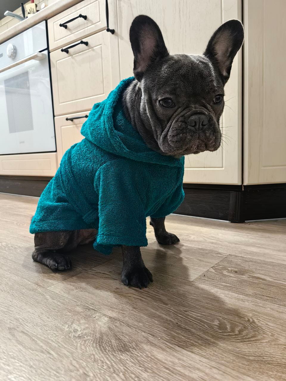 снимок Халат для собак махровый изумруд от магазина BIO-TEXTILES ОПТ